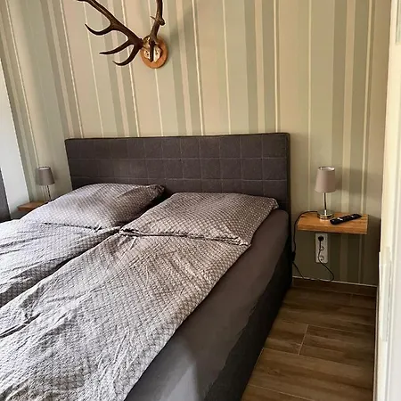 Ii Zittertal Neustadt Harz Mit Grossem Garten, Kamin Und Fussbodenheizung Holiday home Osterode (Thuringia)
