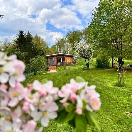Ii Zittertal Neustadt Harz Mit Grossem Garten, Kamin Und Fussbodenheizung Osterode (Thuringia)